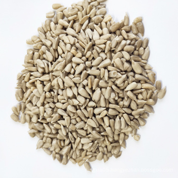 wholesale organic sunflower seeds kernels bakery market price